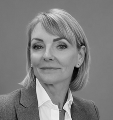 Ulrika Andersson, Solelgrossisten